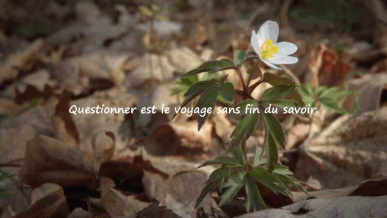 Fondement scientifique du questionnement