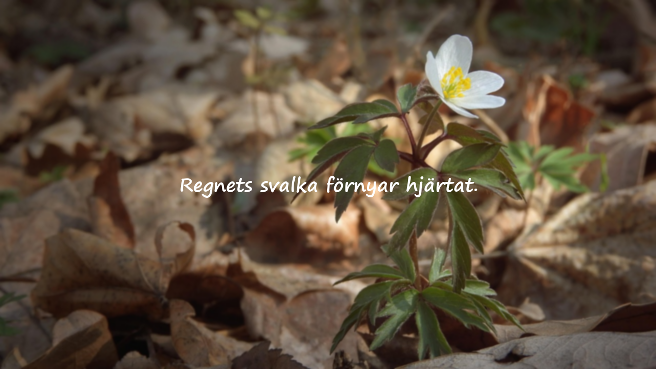 Ord om naturen