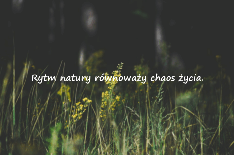 Słowa o naturze
