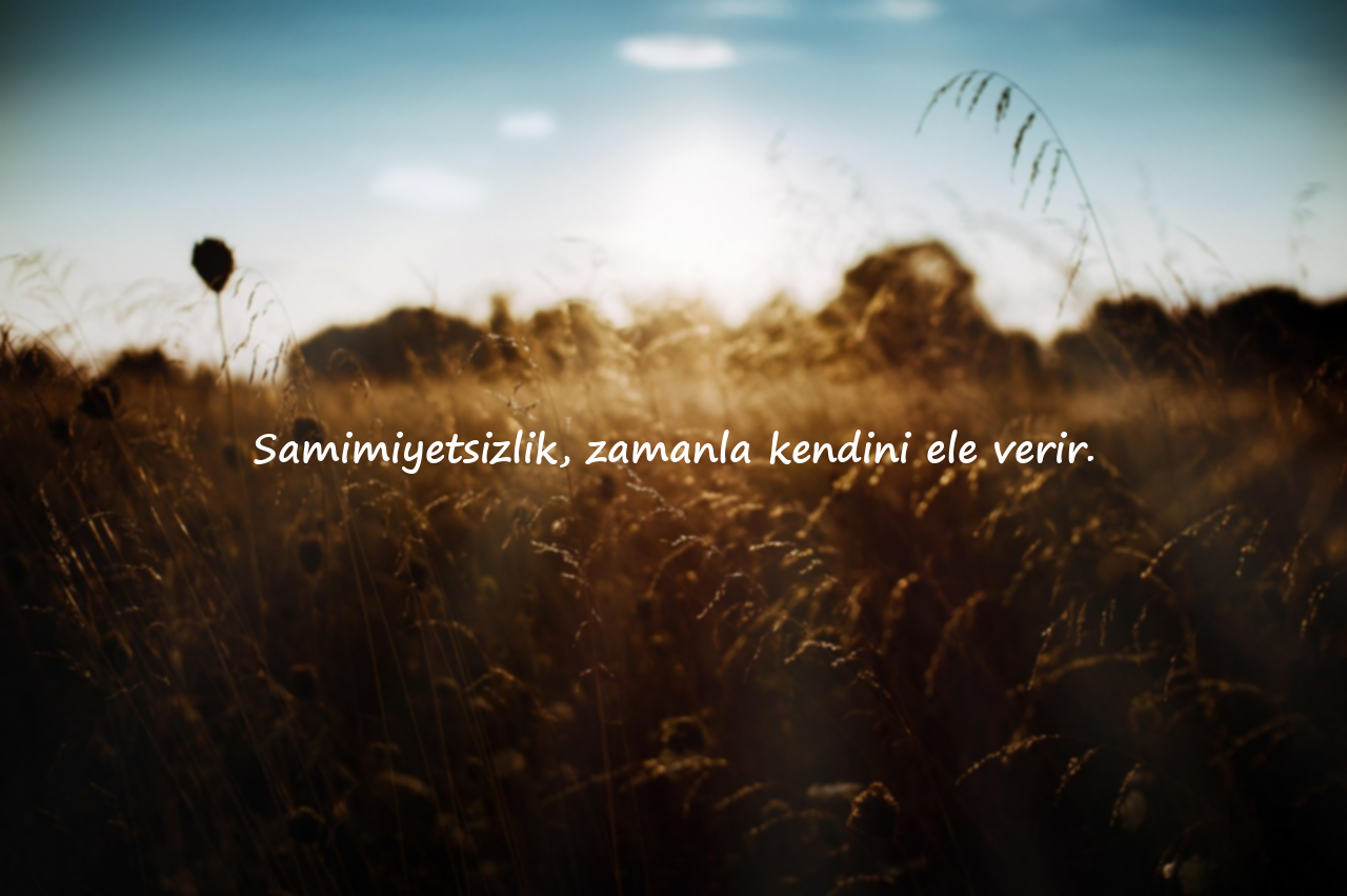 Samimiyetsizlik ile İlgili Sözler