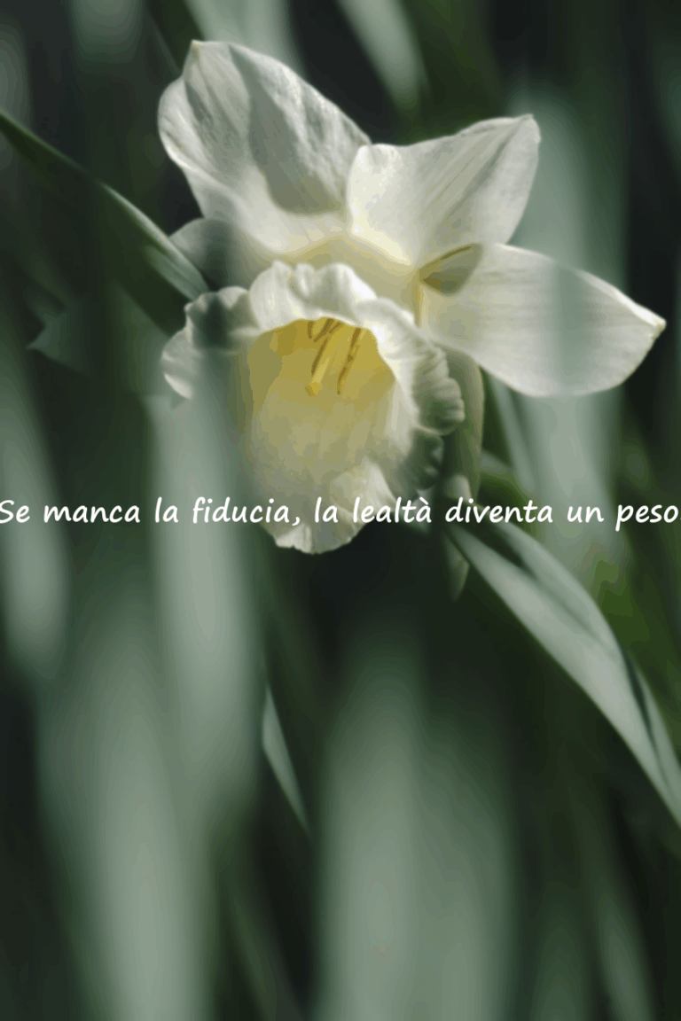 Frasi sulla Sfiducia