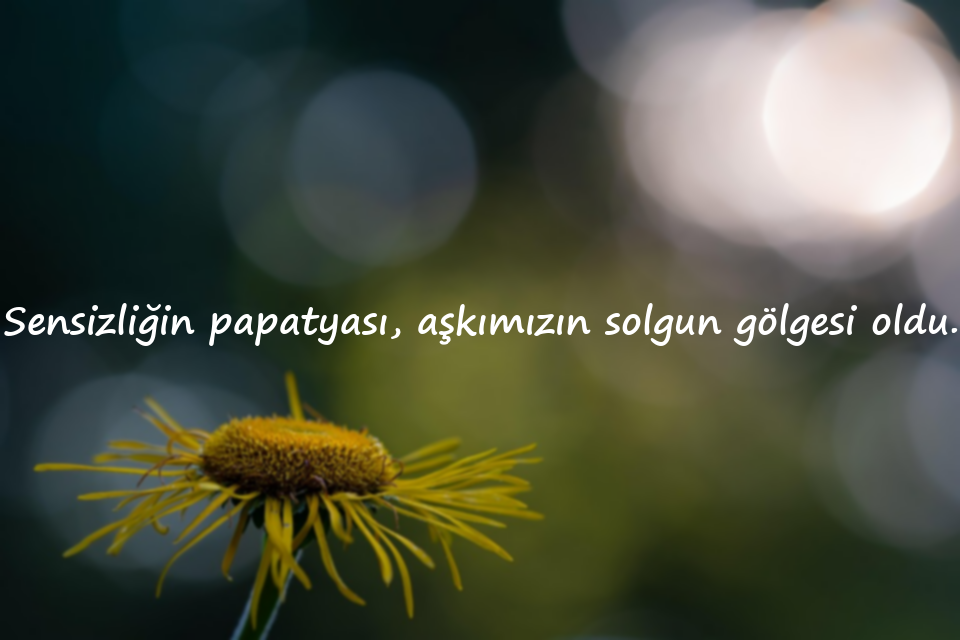 papatya ile ilgili sözler