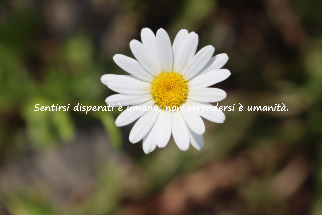 Citazioni sulla disperazione