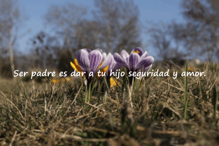 Frases sobre Padres