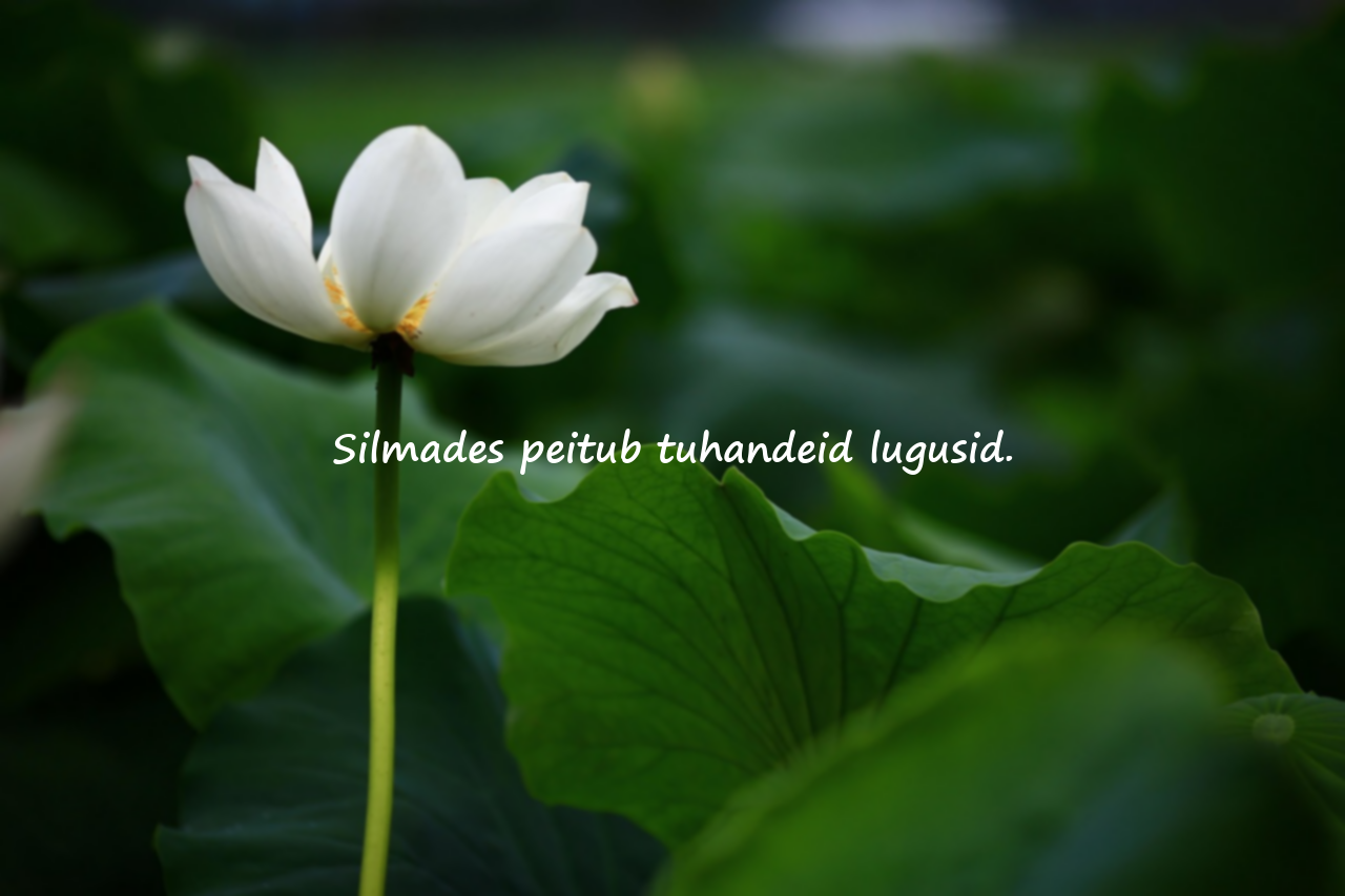Tähenduslikud ja ilusad silmade kohta tsitaadid