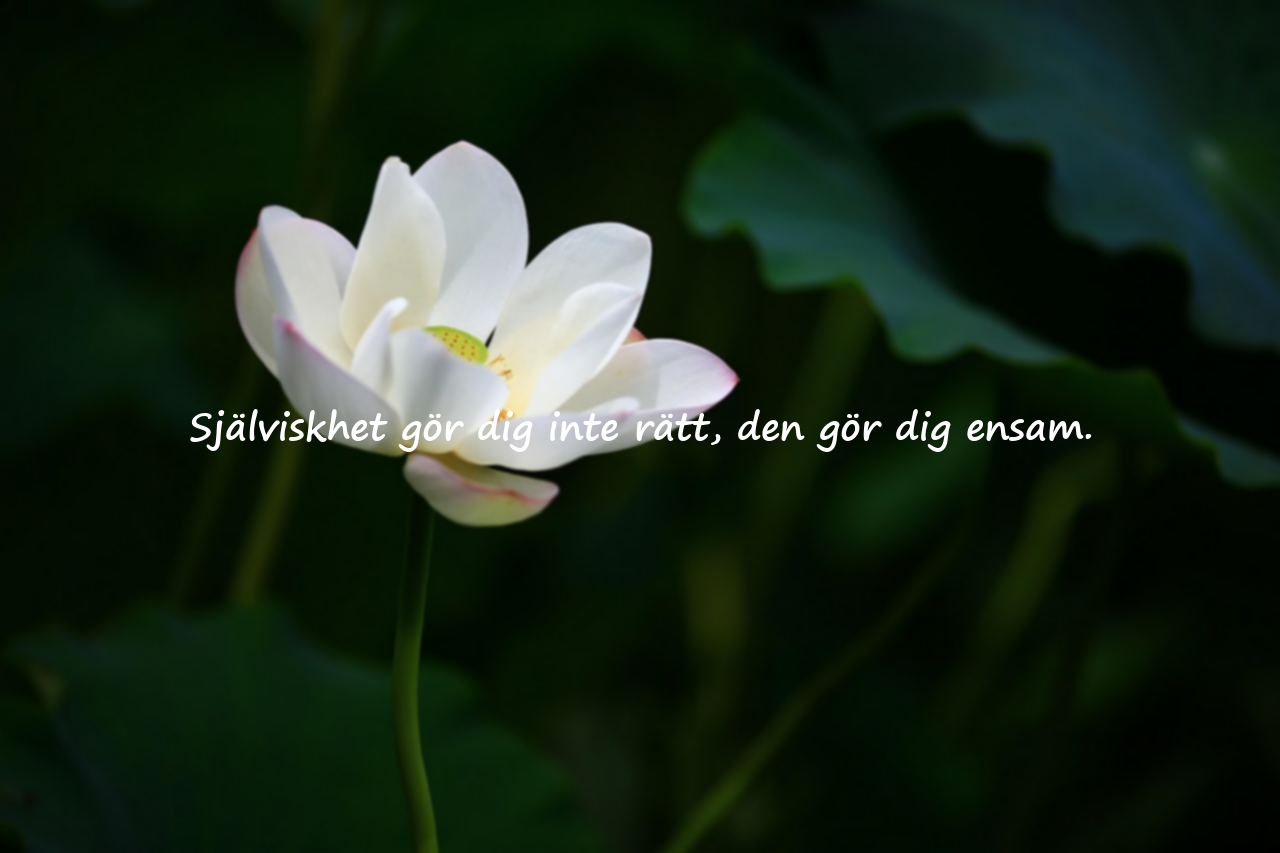 Citat om själviskhet