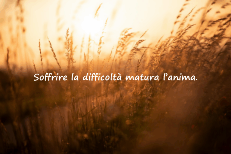 Citazioni sulla Difficoltà
