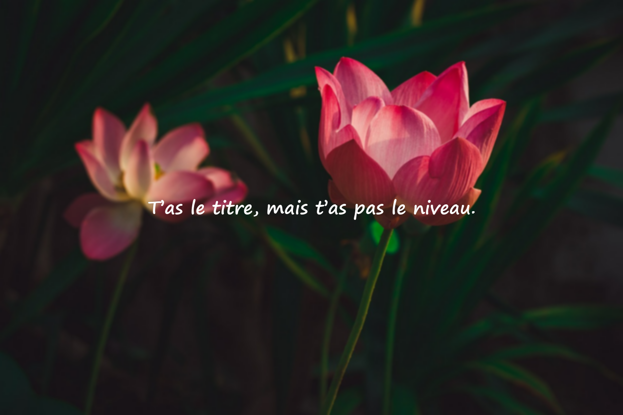 Citations sur l’Arrogance