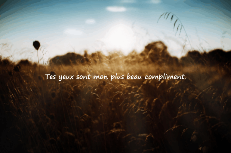 Citations significatives et flatteuses sur le contact visuel