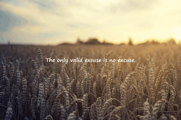 Quotes on Excuses