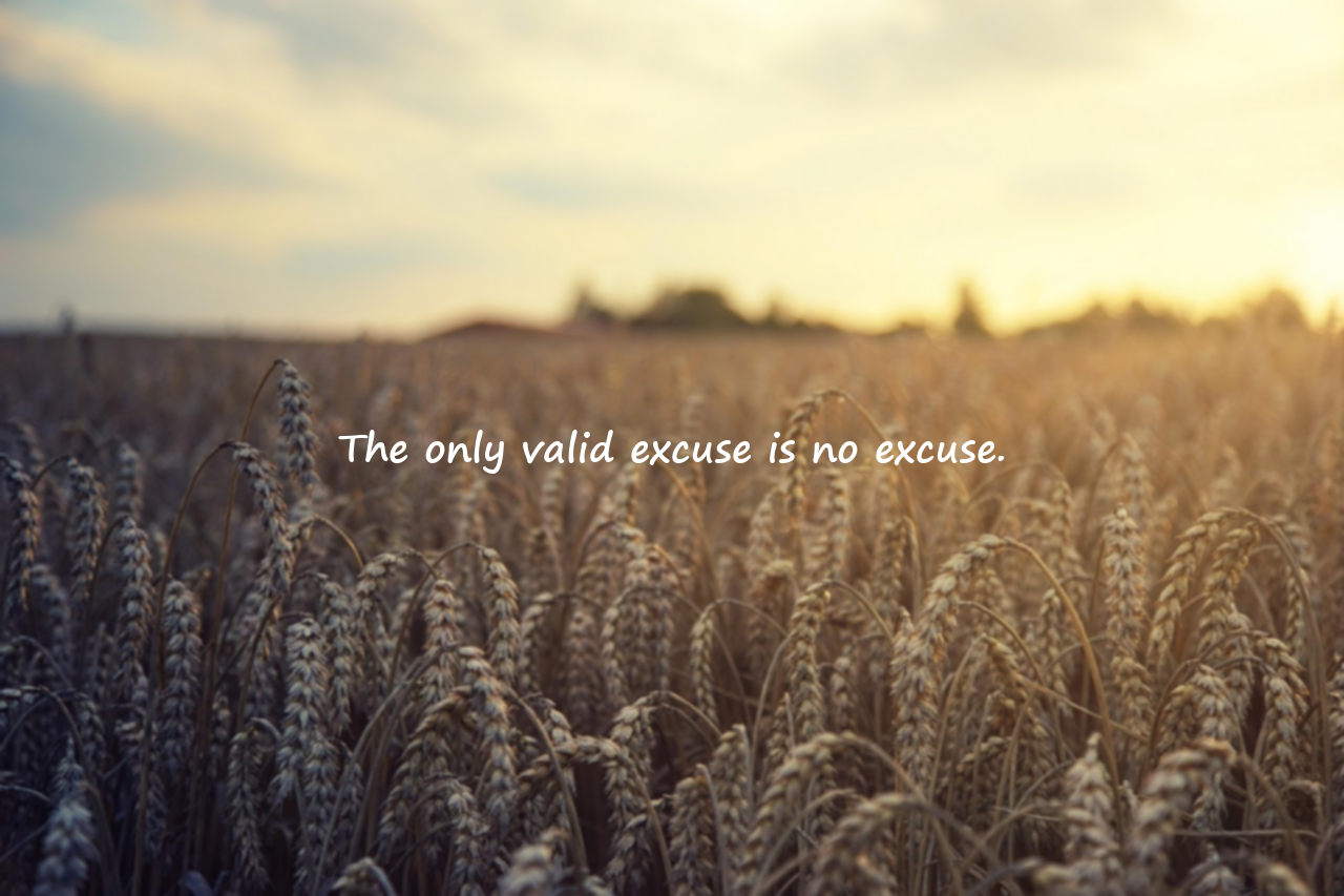 Quotes on Excuses