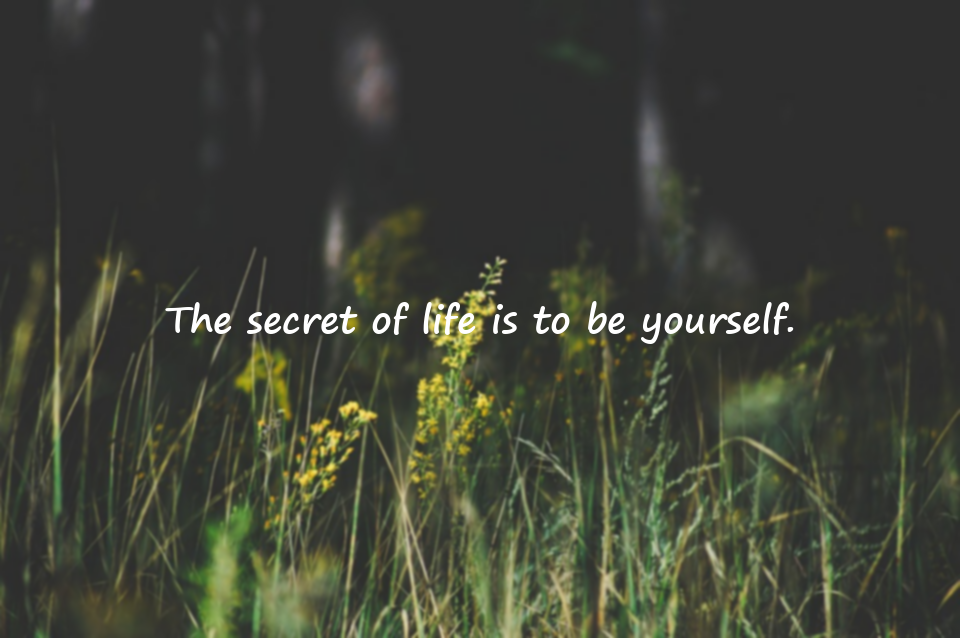 Beautiful Quotes About Life