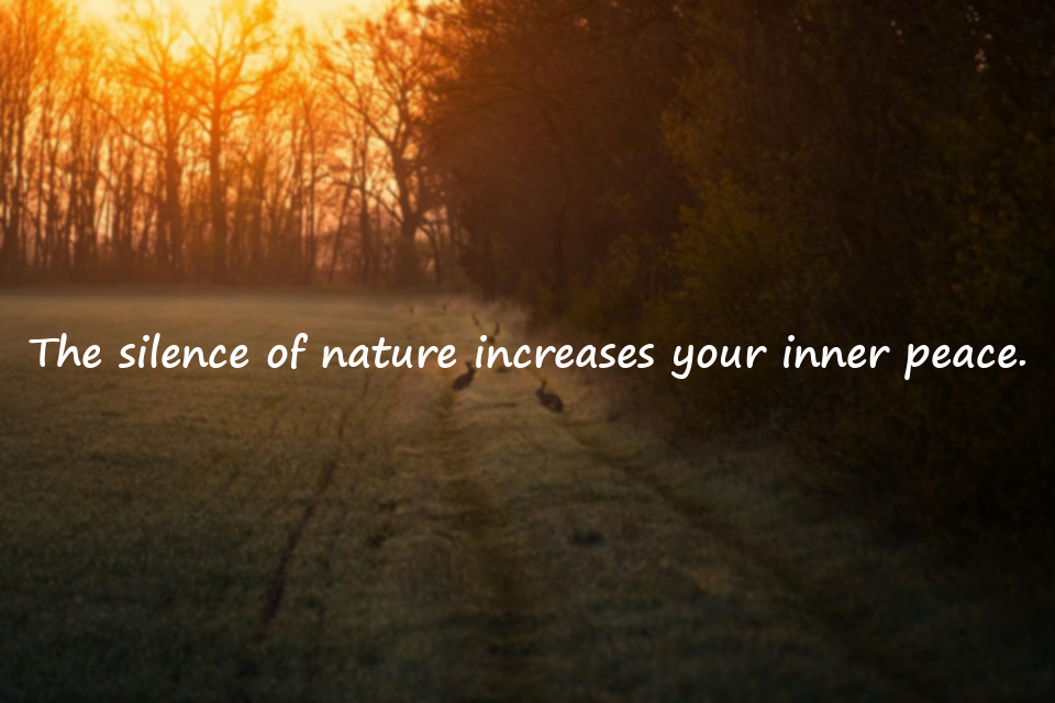 Words about Nature