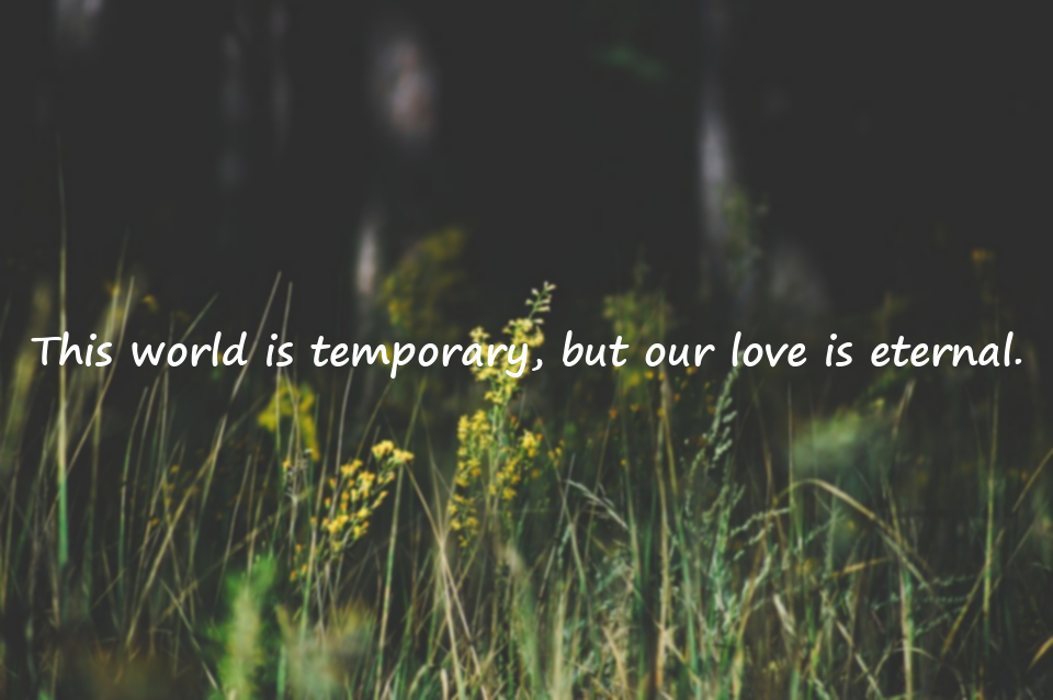 Love and Valentine’s Day Quotes