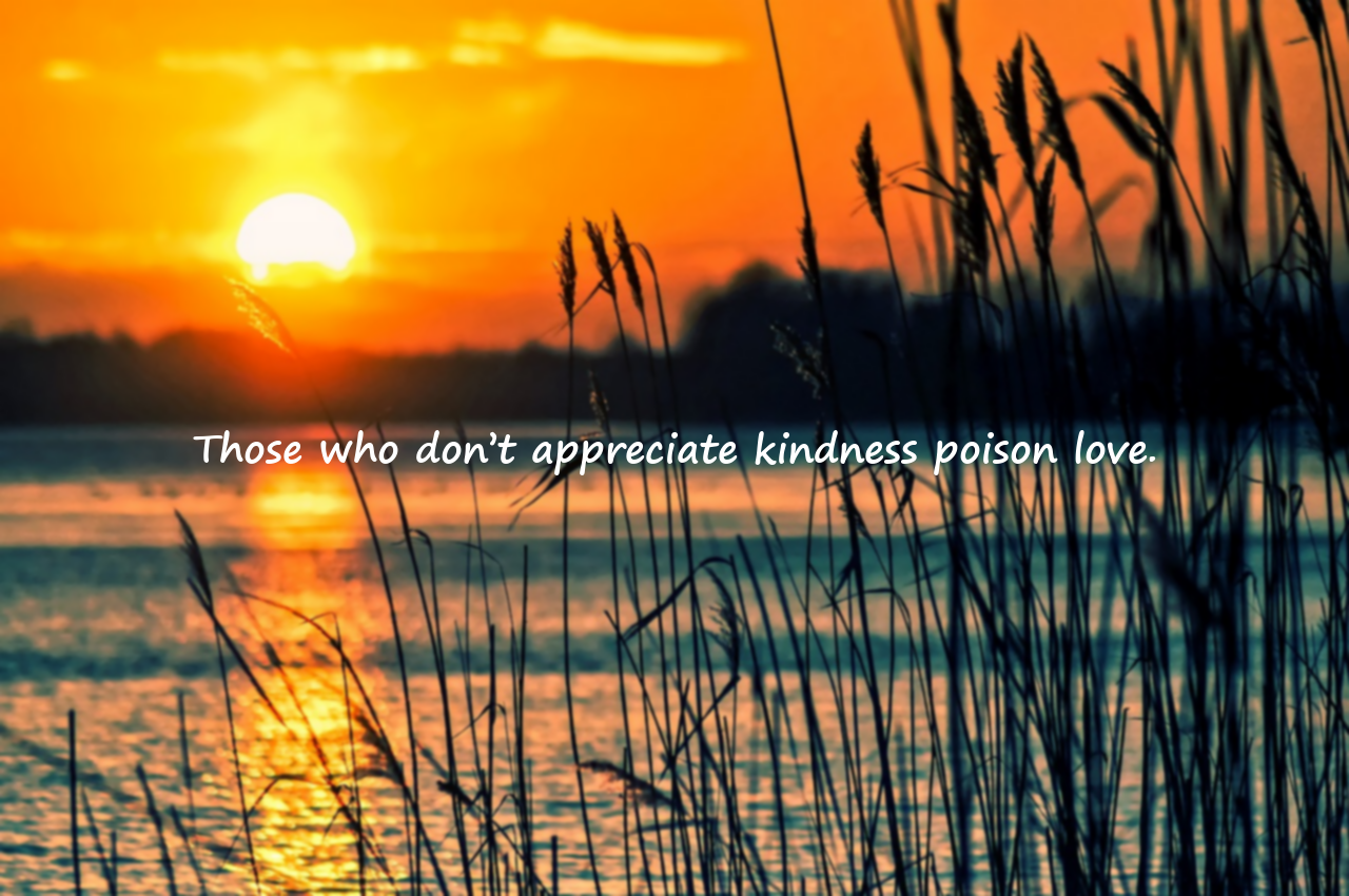 Quotes About Ingratitude