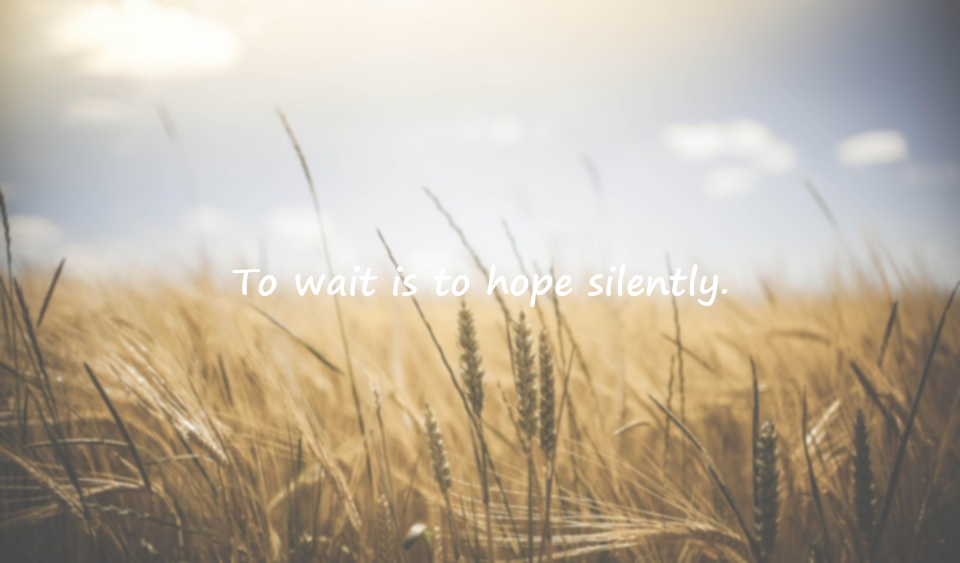 Expectation and Waiting Quotes