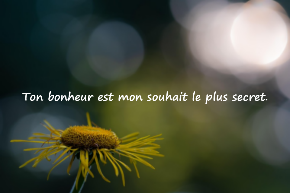 Citations d’amour platonique