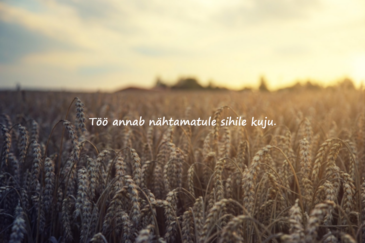 Töö ja visaduse tsitaadid