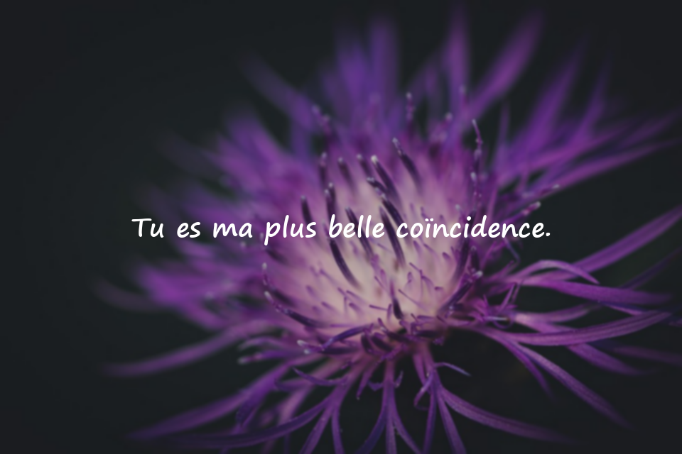 Citations d’amour pour l’être aimé