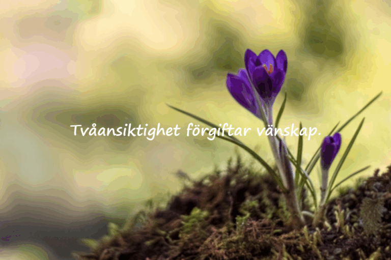 Tunga, anspelande ord för tvåansikten