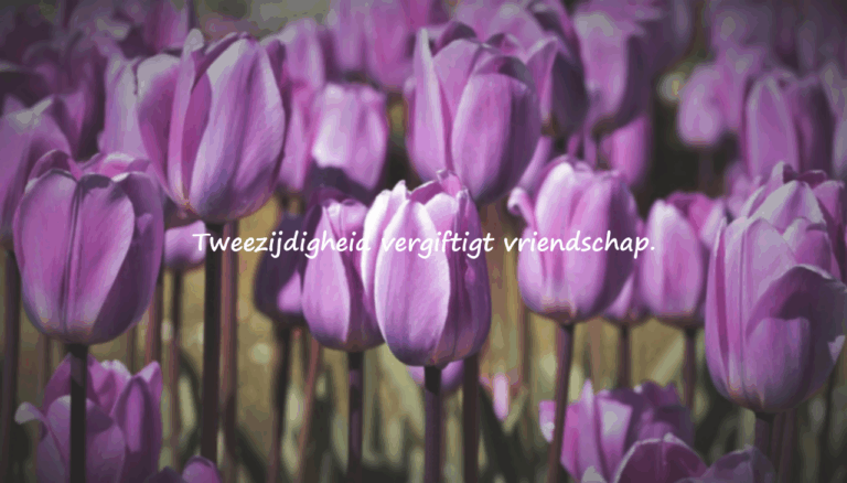 Zware, allusieve woorden voor tweezijdige mensen