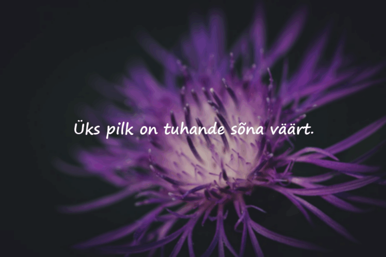 Tähenduslikud ja komplimente täis tsitaadid silmside kohta