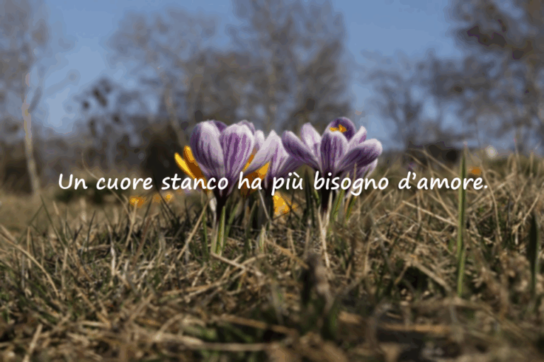 Citazioni sulla stanchezza del cuore