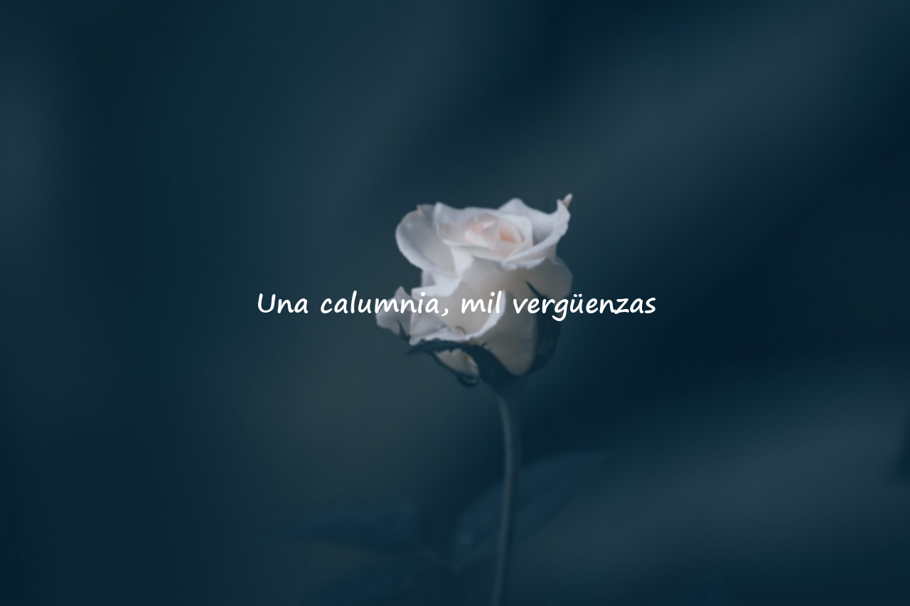 Frases Significativas sobre la Calumnia