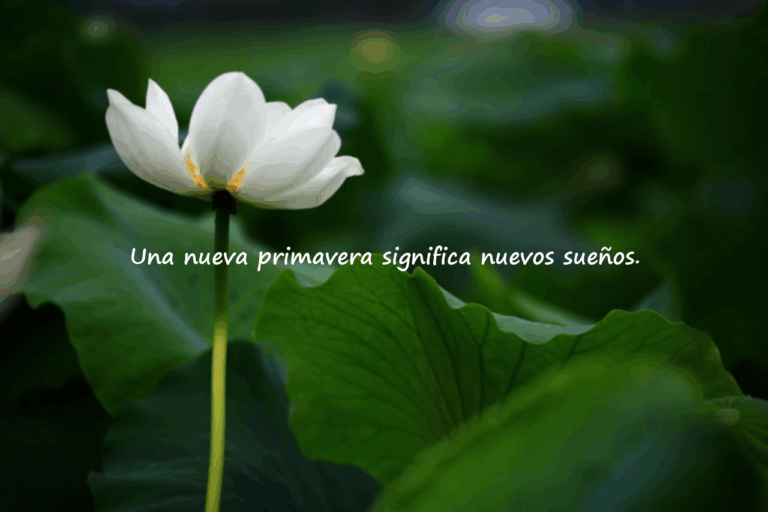 Citas sobre la Primavera