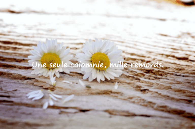 Citations sur la Calomnie