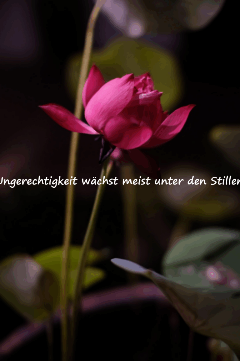Zitate über Ungerechtigkeit