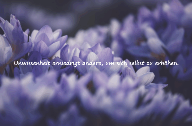 Zitate über Unwissenheit