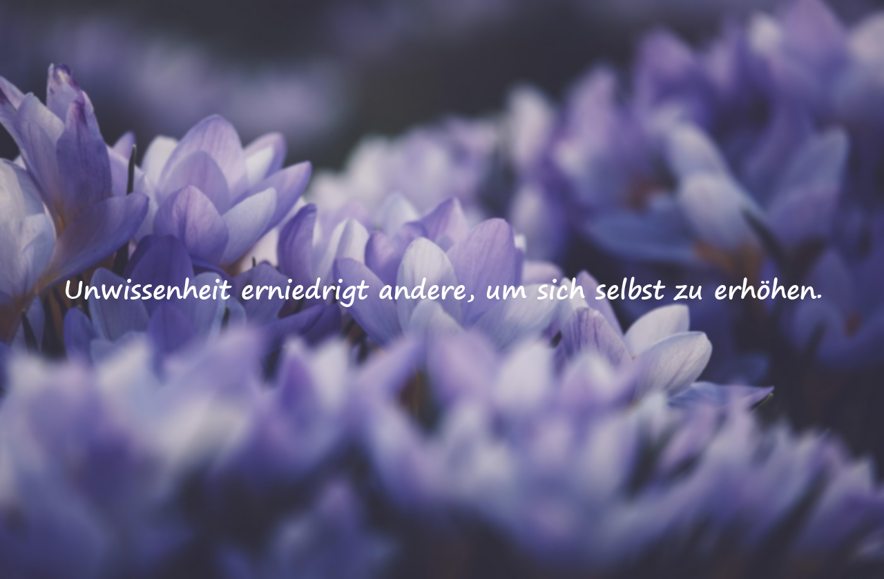 Zitate über Unwissenheit