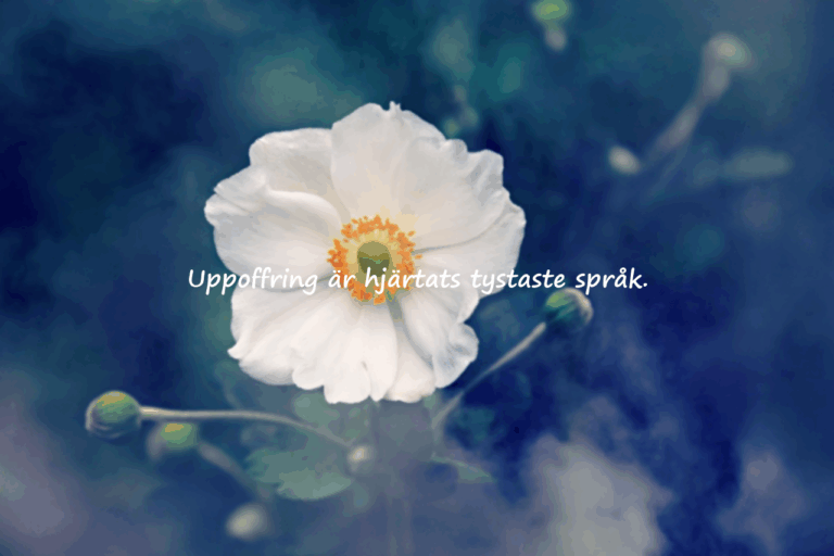 Citat om uppoffring