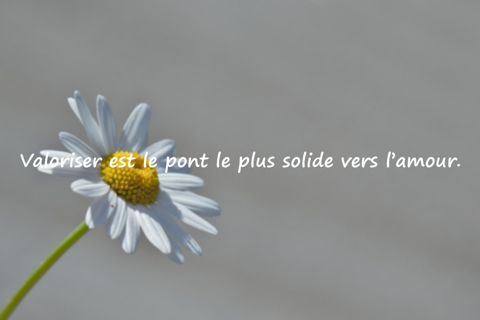 Citations profondes sur la valeur accordée aux autres