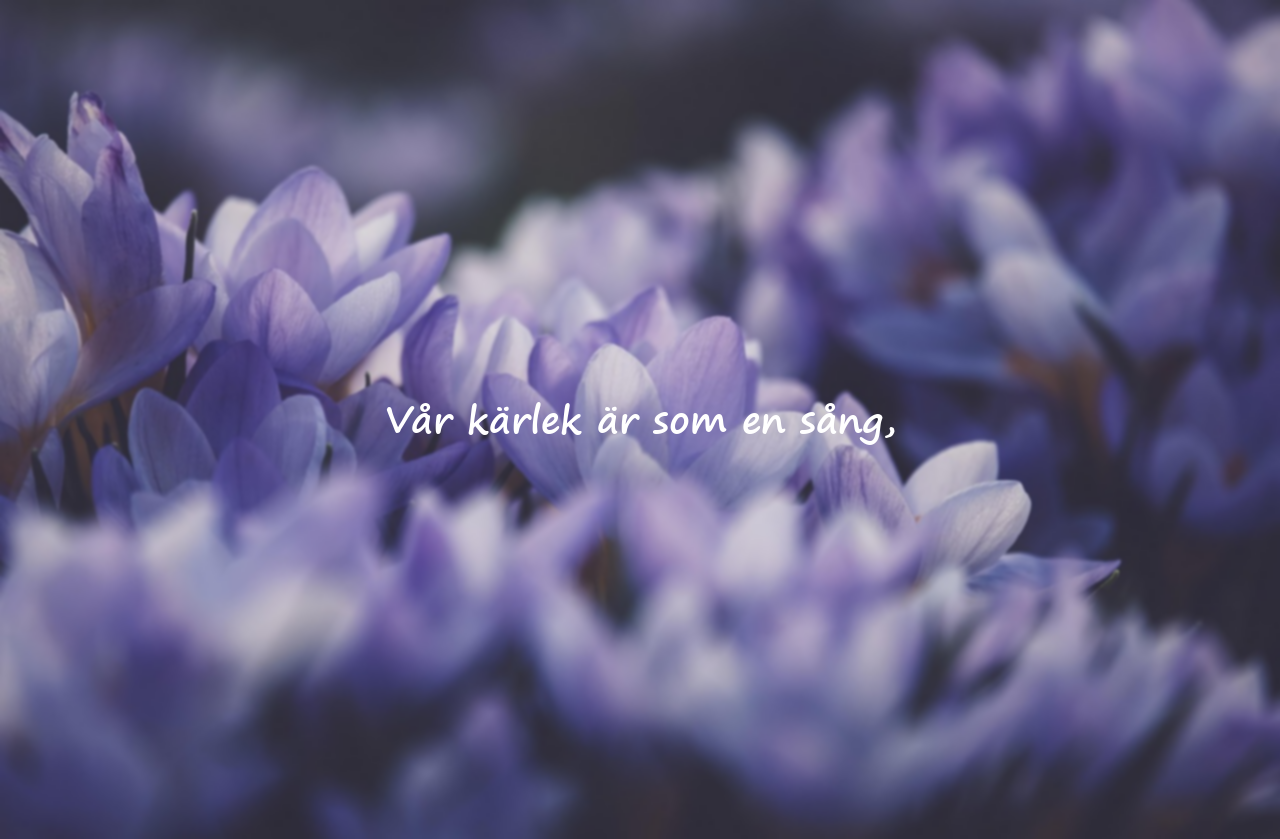Kärleksdikter till Min Älskade