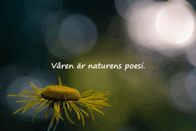 Citat om Våren