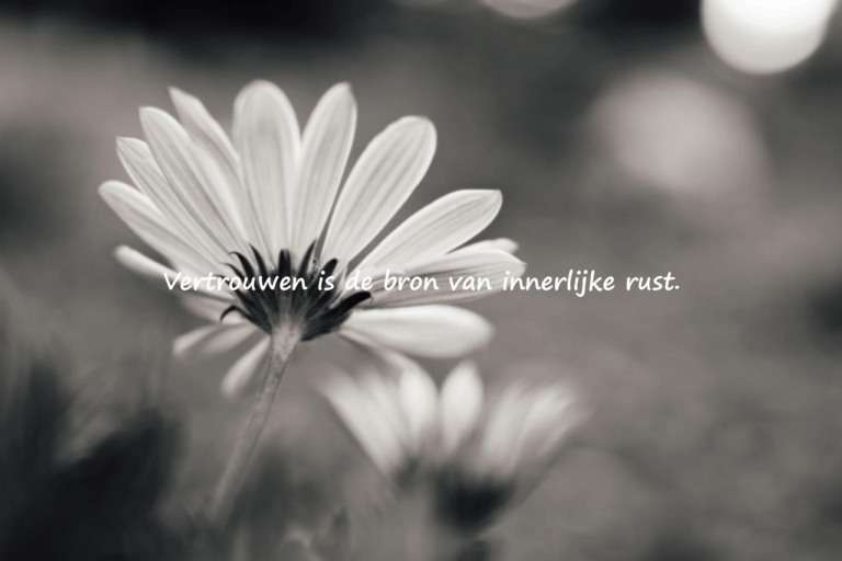 Mooie Uitspraken over Vertrouwen