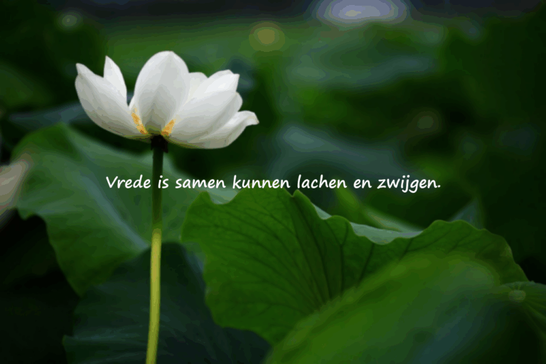 Woorden Over Vrede voor Families