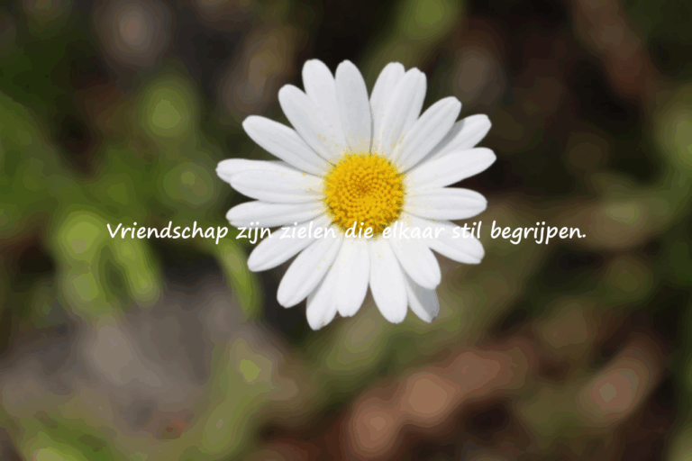Citaten over vriendschap