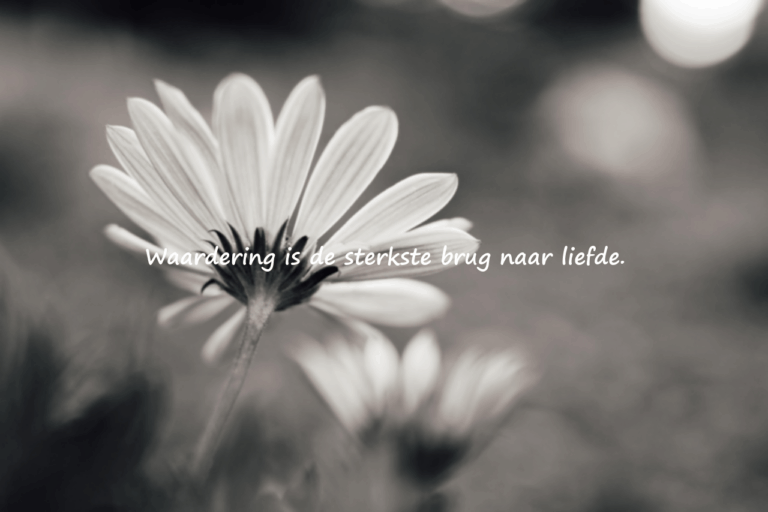 Betekenisvolle citaten over waardering
