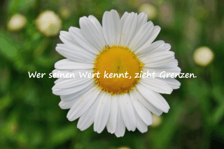 Zitate zum Schutz vor Menschen in deiner Umgebung