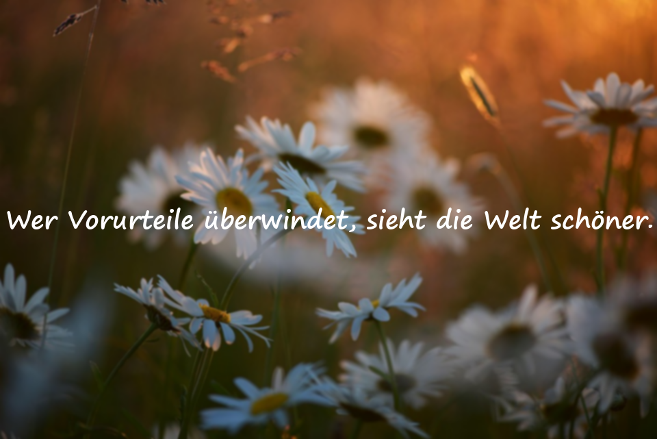 Sprüche Über Vorurteile