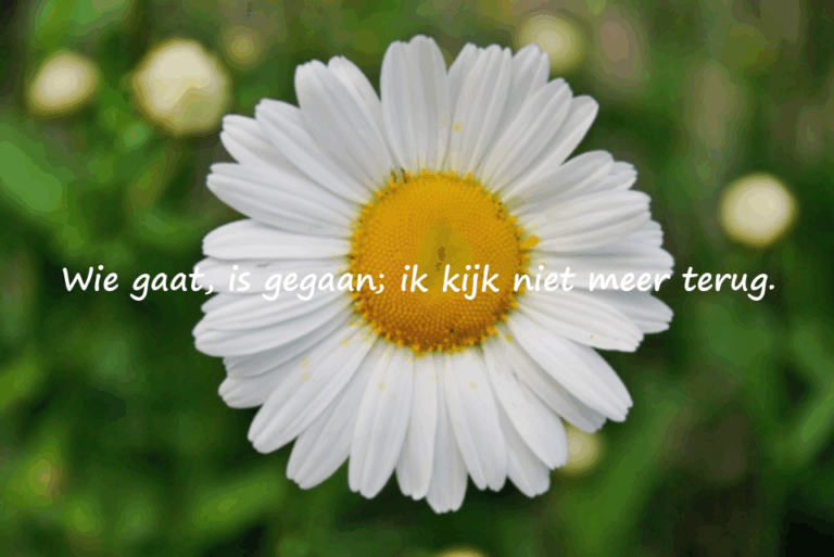 Woorden over weggaan