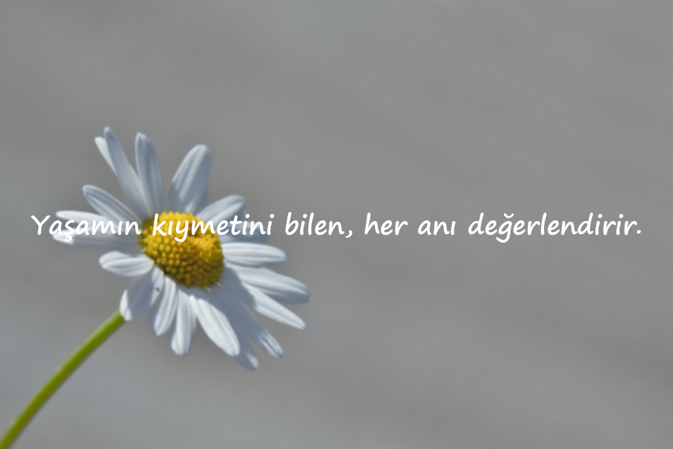 Hayat İle İlgili Sözler
