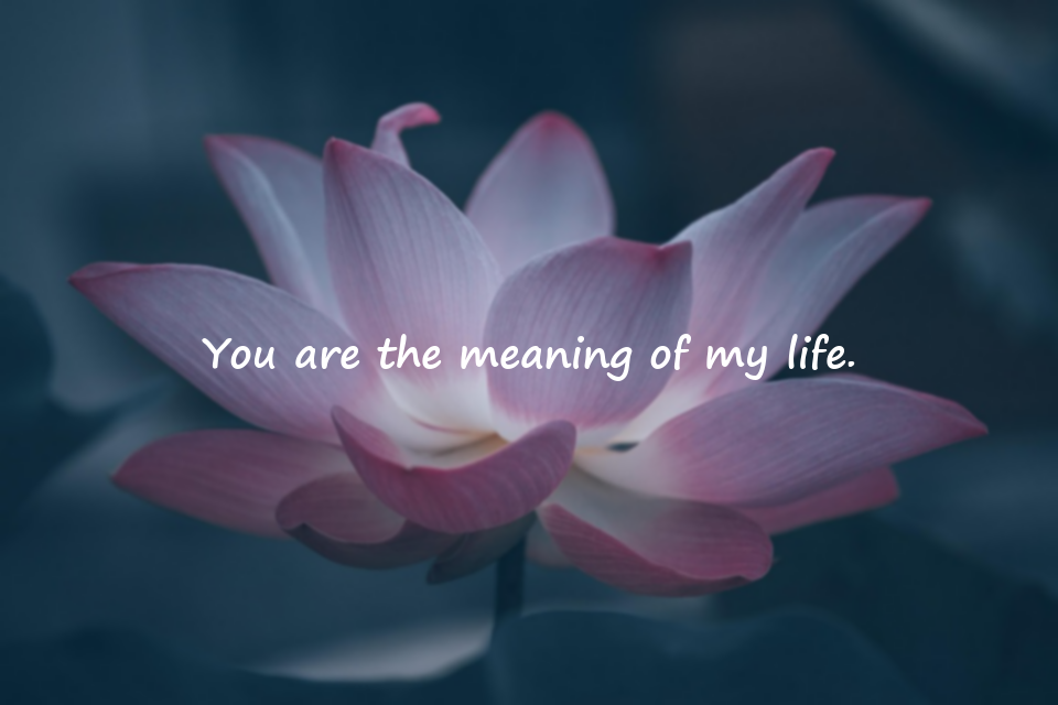 Beautiful Words for Your Spouse