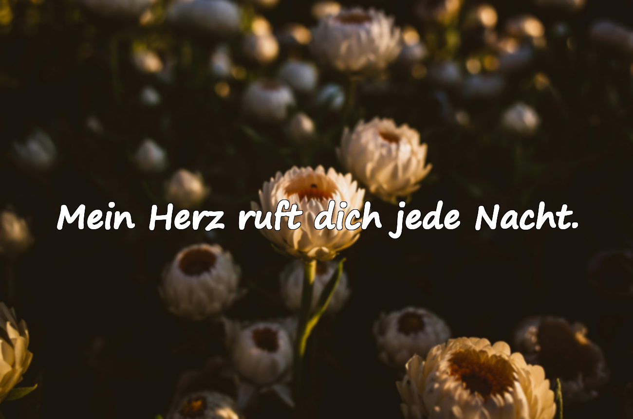 Abendworte