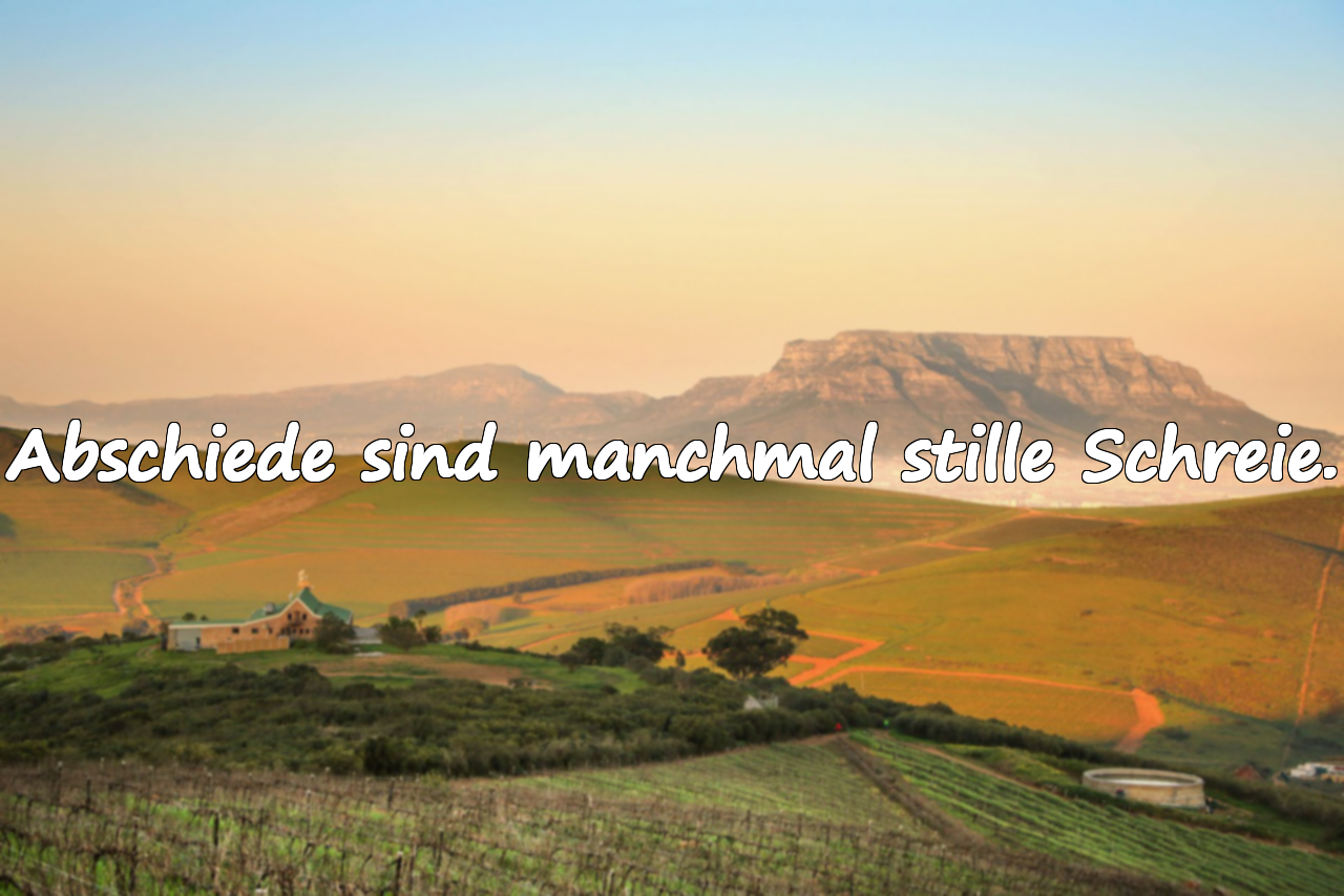 Abschiede sind manchmal stille Schreie.