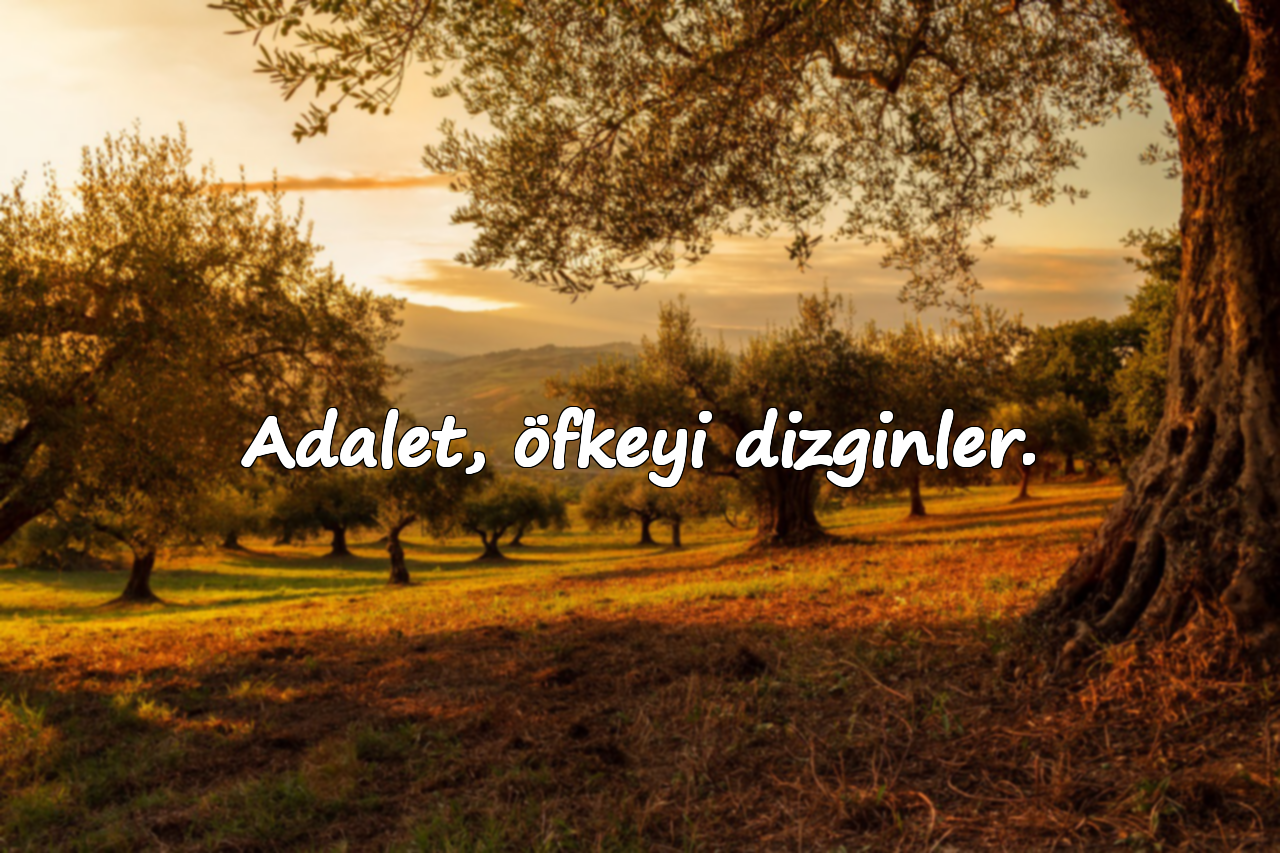 Adalet, öfkeyi dizginler.