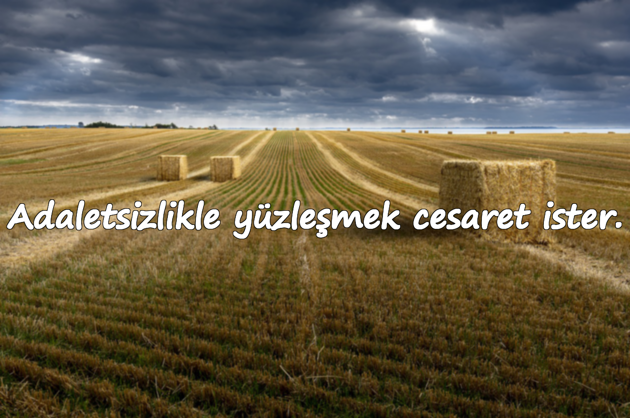 Adaletsizlikle yüzleşmek cesaret ister.